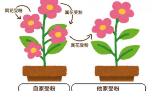胆不豪和脾不好的区别网 | 脾胃不和和胆胃不和,胆和脾最怕三个东西